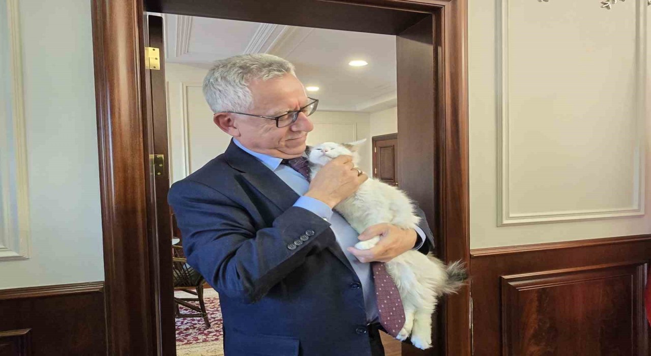 Makamında kedi besleyen Başkan Arslan, hayvan dostu projeleriyle de örnek oluyor