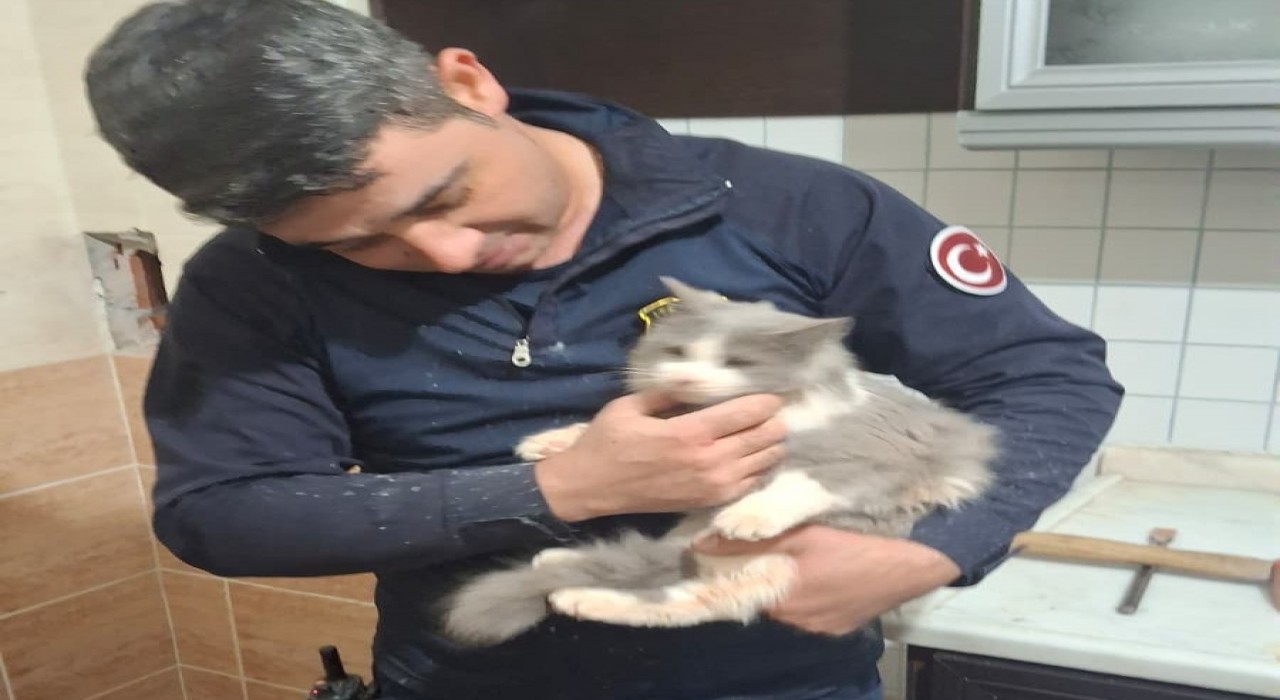 Malatyada havalandırma boşluğuna düşen kedi kurtarıldı