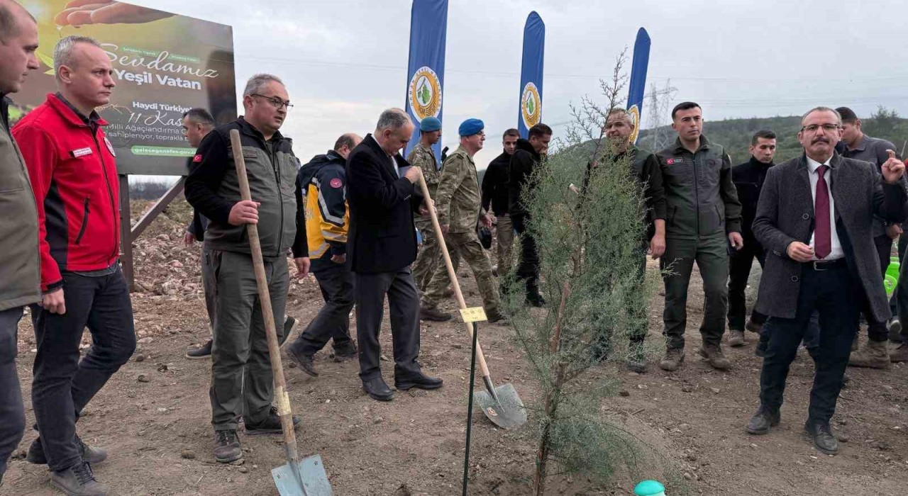 Manisada 2025 sonuna kadar 3,1 milyon fidan toprakla buluşacak