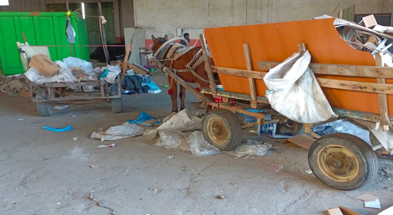 Manisada at arabası operasyonu: İki at arabası trafikten men edildi