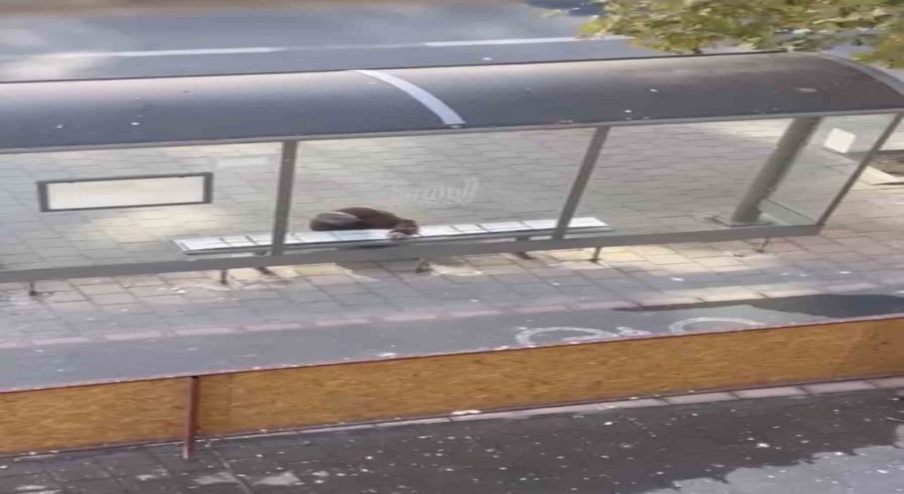 Mardinde duyarlı vatandaş, yolcular üşümesin diye durağın oturma yerlerini halıyla kapladı