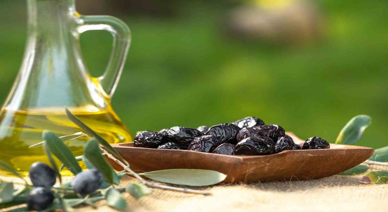 Marmarabirlikten 761 milyon liralık ödeme