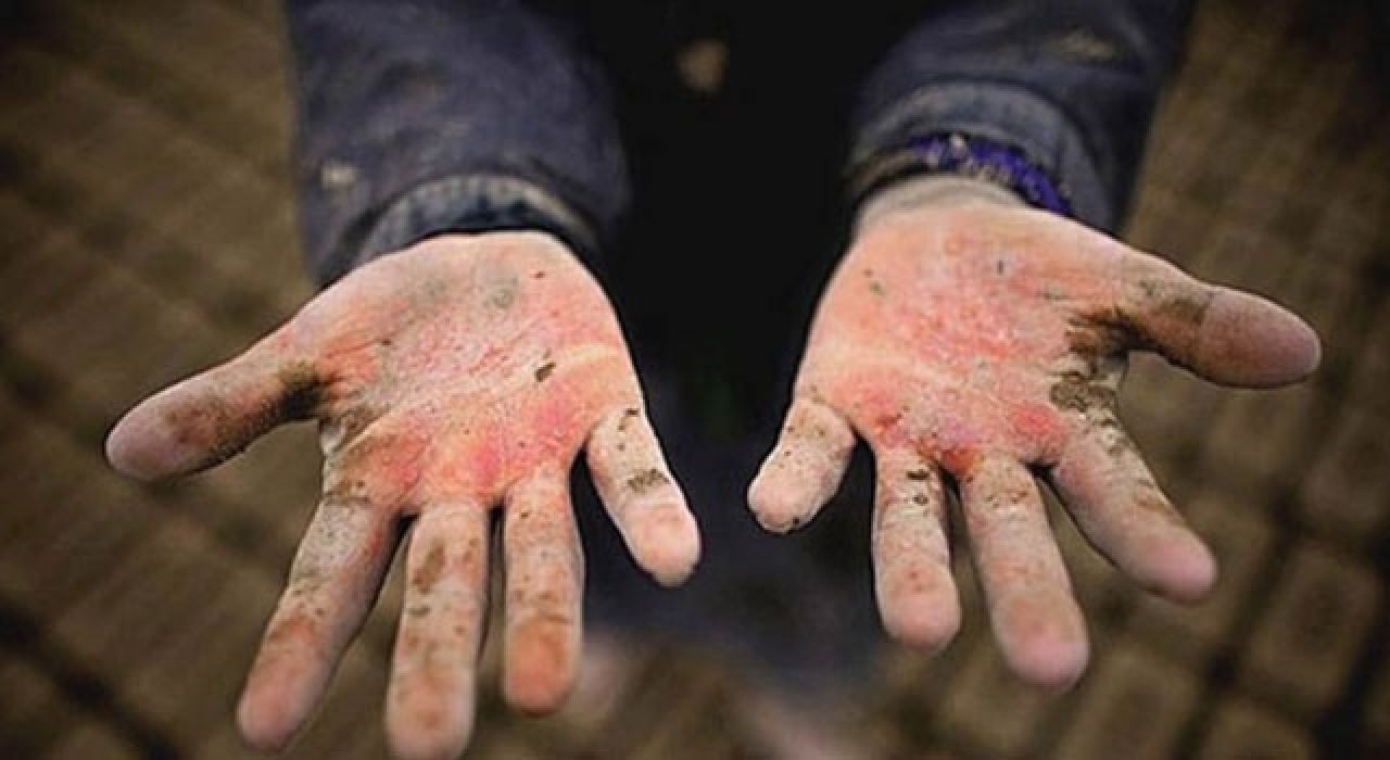 Mevsimlik Tarımda Çocuk İşçiliğine Sıfır Tolerans