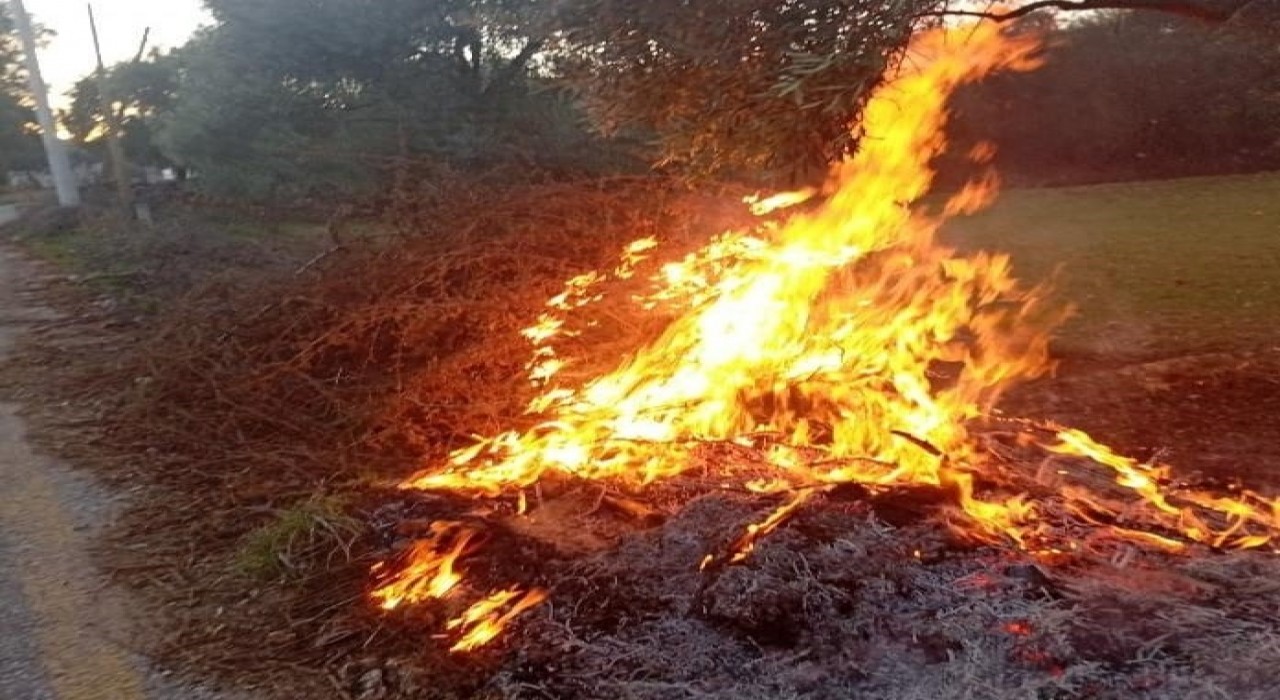 Milastaki orman yangınları büyümeden söndürüldü