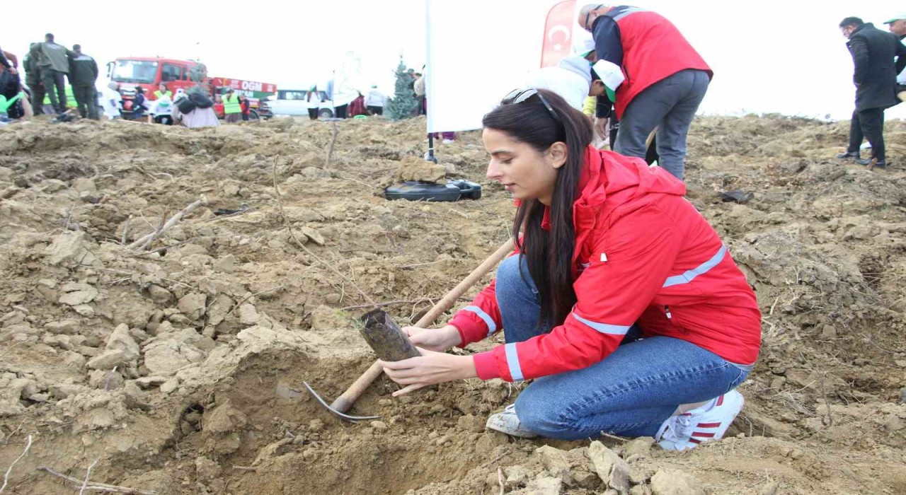 Milli Ağaçlandırma Gününde Uşakta fidanlar toprakla buluştu