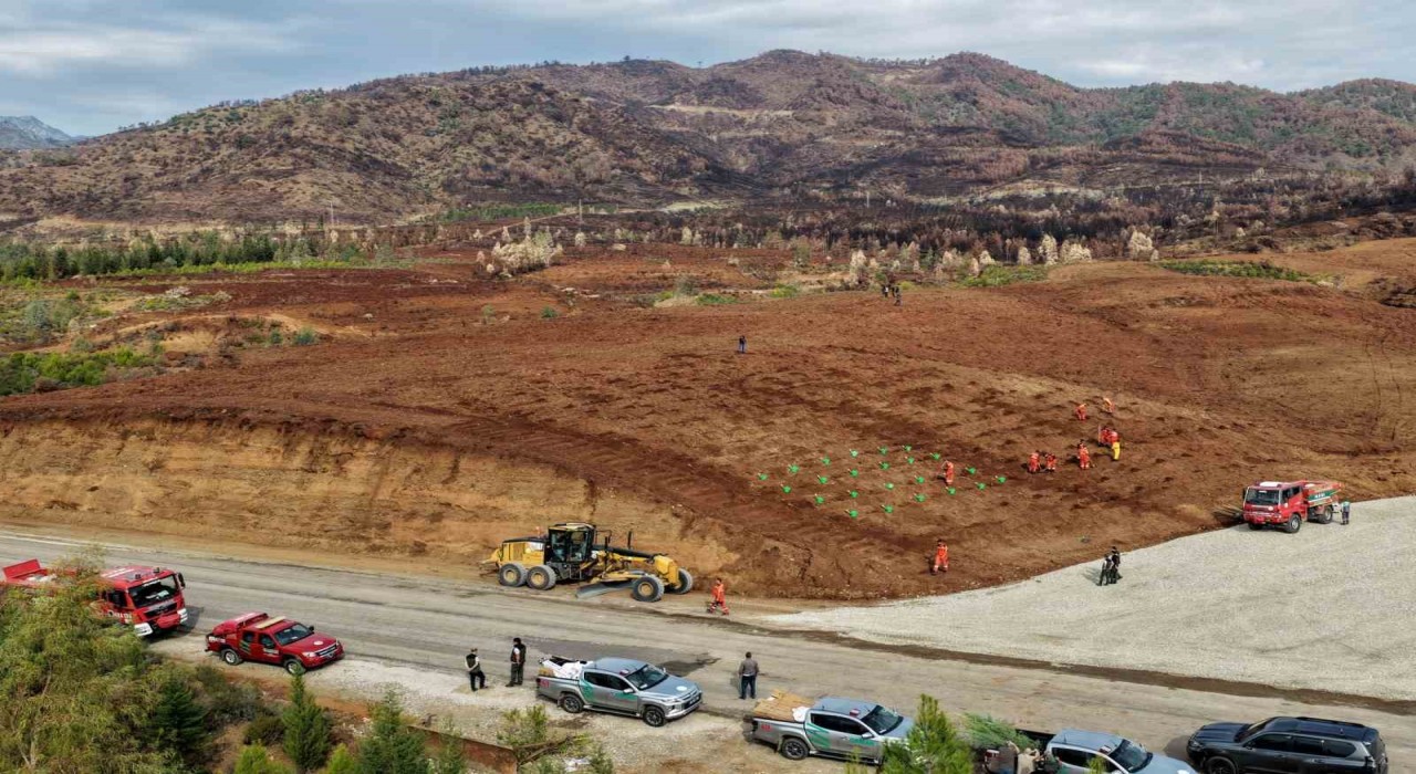 Muğla Orman Bölge Müdürlüğü ‘Yeşil Vatan seferberliğine hazır