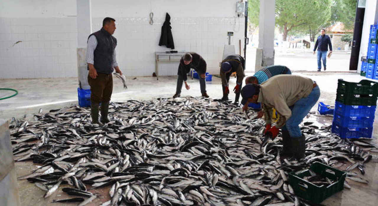 Muğla Su Ürünlerinde Türkiye Üretiminin Yüzde 27’sini Karşılıyor