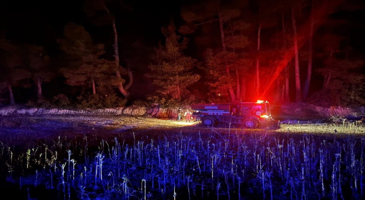 Muğlada çıkan orman yangını kısa sürede kontrol altına alındı