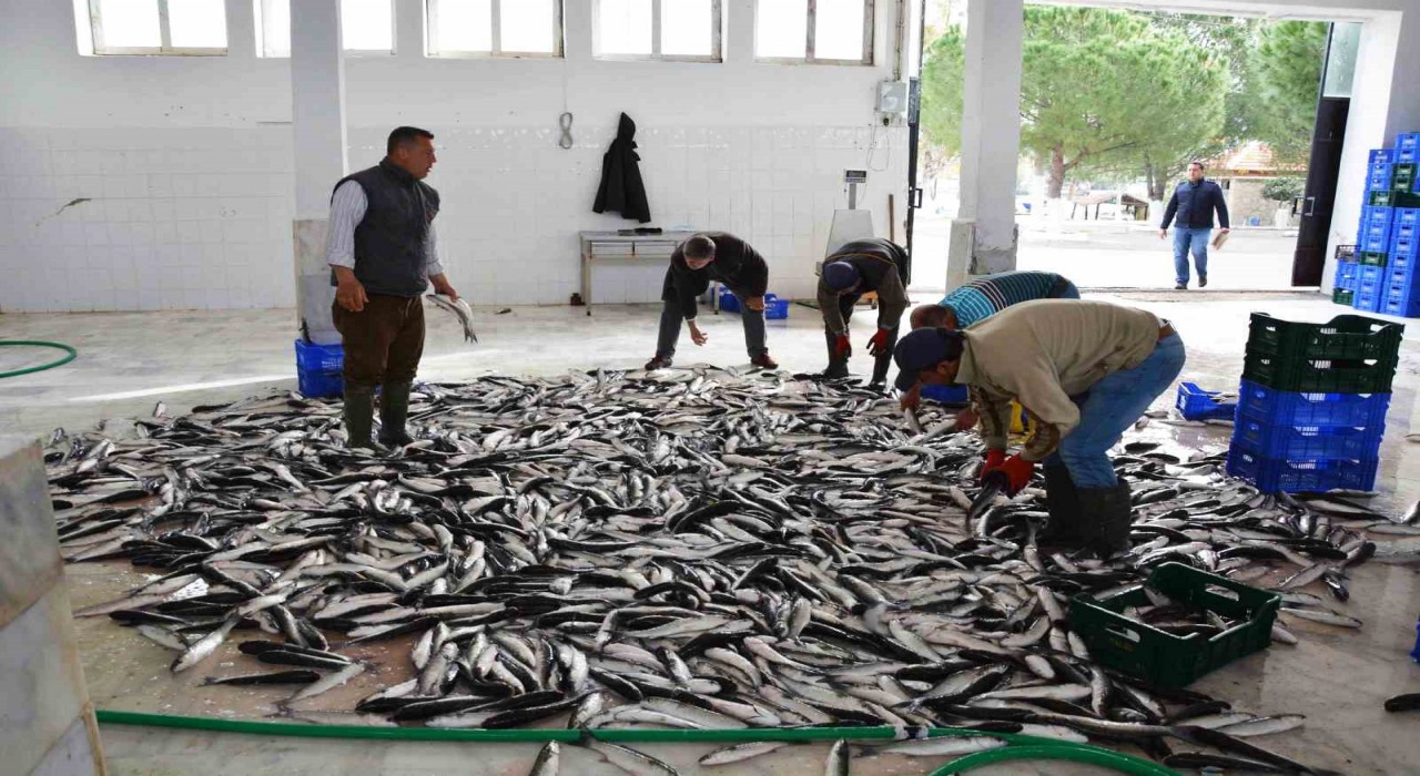 Muğladan 10 ayda 618 milyon dolar balık ihracatı