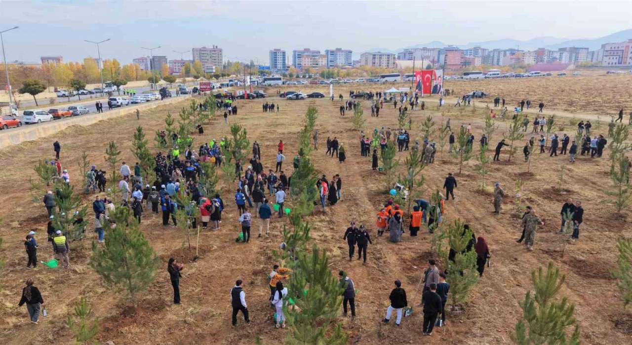 Muşta 20 bin fidan toprakla buluşturuldu