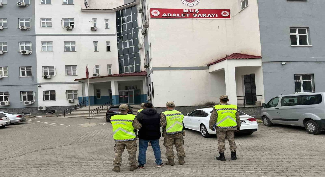 Muşta aranan hükümlü jandarmanın devriyesine takıldı