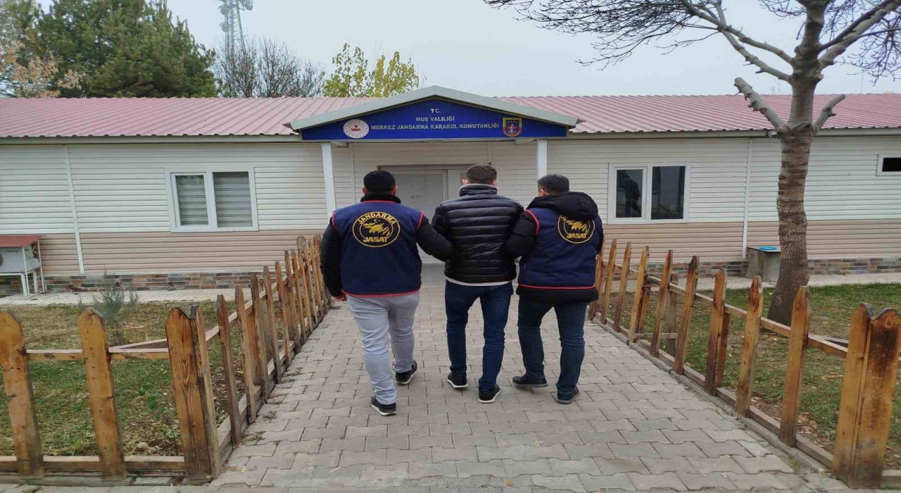 Muşta dolandırıcılık suçundan aranan hükümlü yakalandı