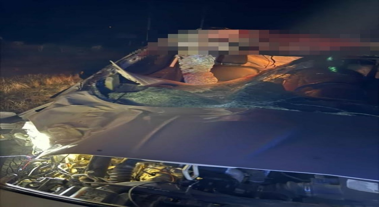 Muşta hafif ticari araç ata çarptı: 2 yaralı