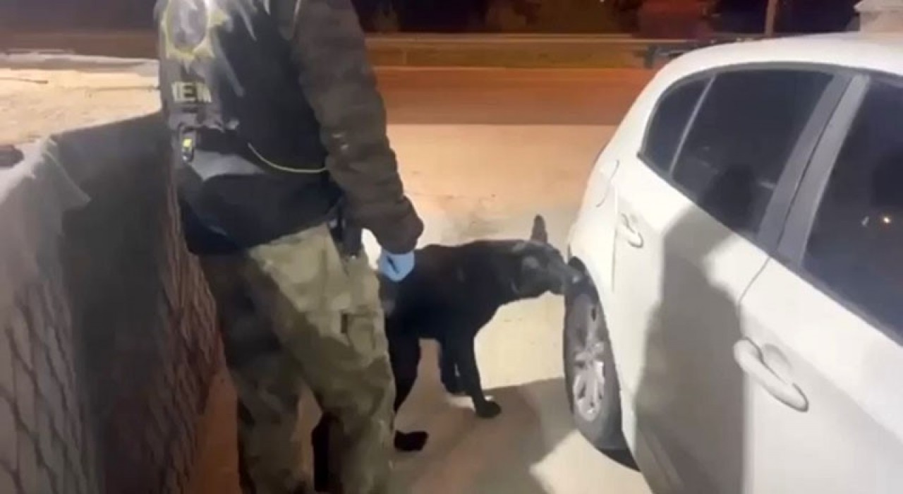 Narkotik köpeği Tony bagajdaki uyuşturucuyu buldu