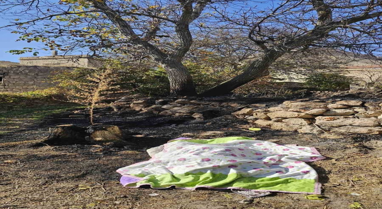 Nevşehirde bahçe temizliği facia ile sonuçlandı