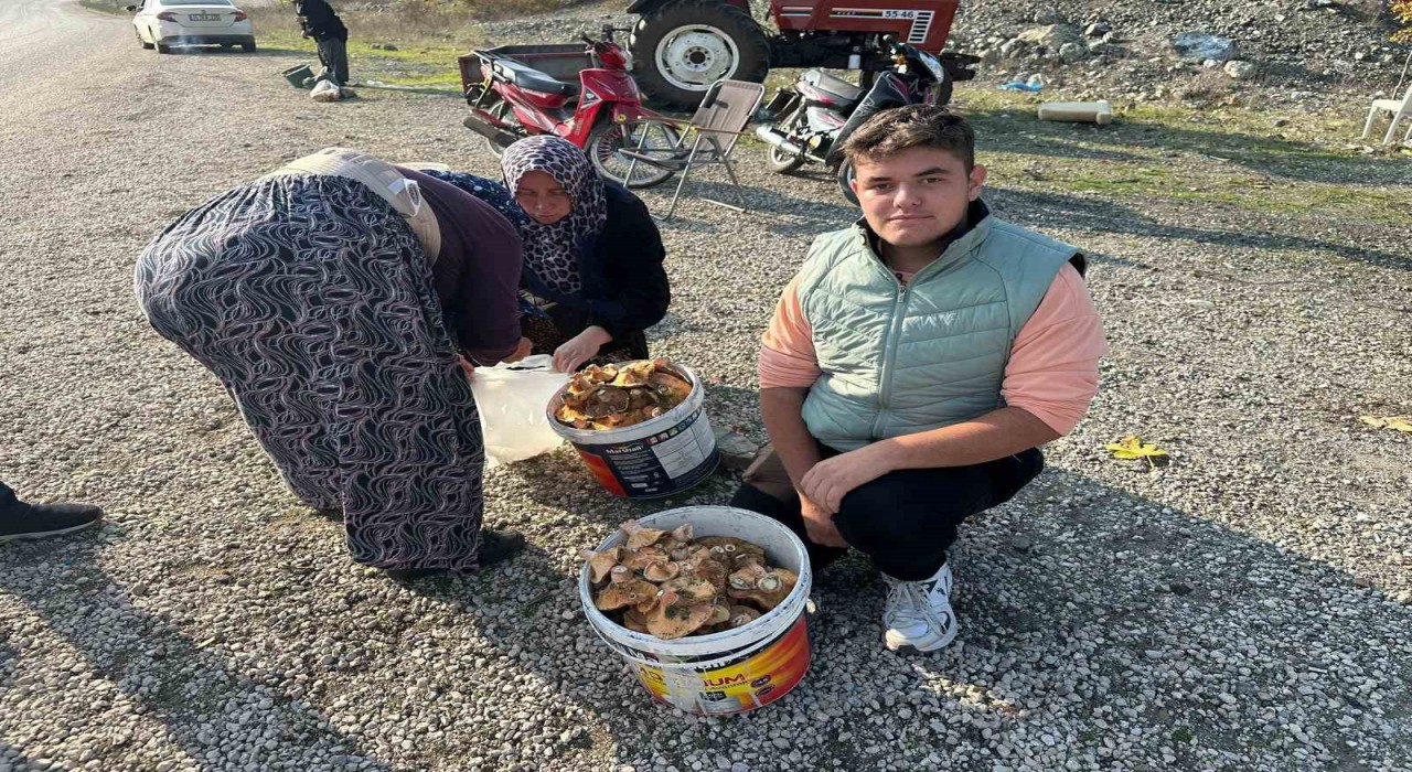 Okul harçlığını kanlıcadan çıkarıyor