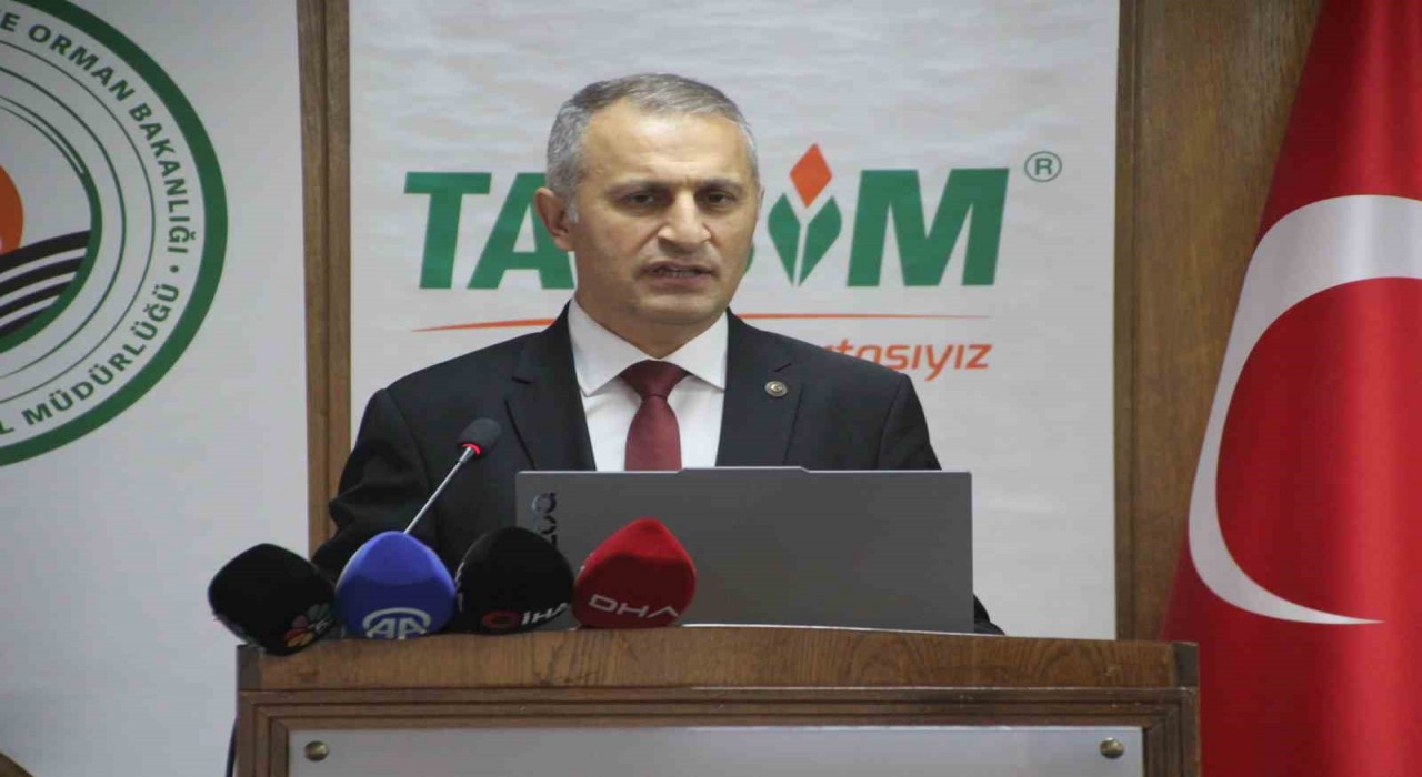 Ordu 16 bin 750 ton ile Türkiyenin en fazla bal üretimini yapan il