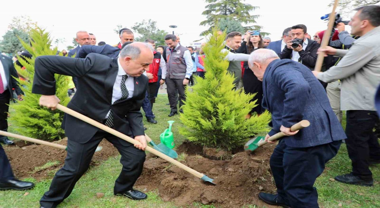 Orduda 350 bin fidan toprakla buluşturulacak