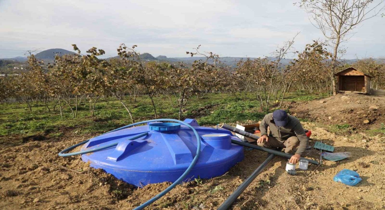 Orduda fındık bahçelerine kuraklık tehlikesine karşı damlama sistemi