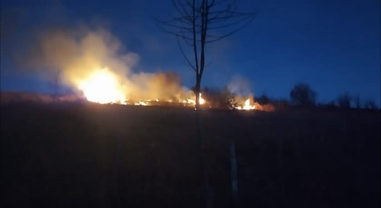 Orduda fındık bahçesinde yangın