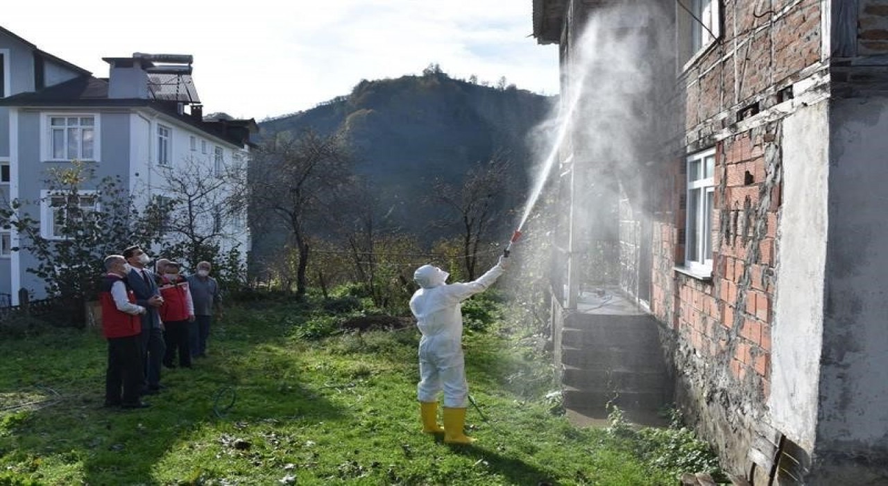 Orduda kokarcaya karşı 330 bin kışlak ilaçlanacak