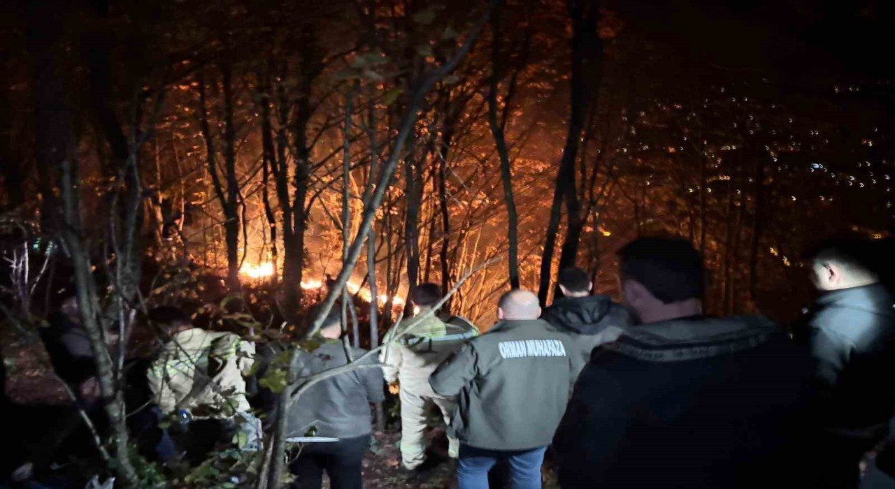 Orduda ormanlık alanda yangın