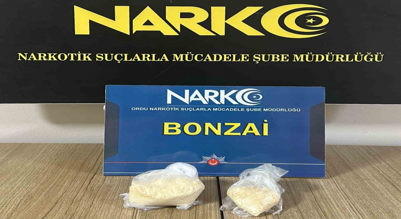 Orduda uyuşturucu operasyonları: 5 tutuklama