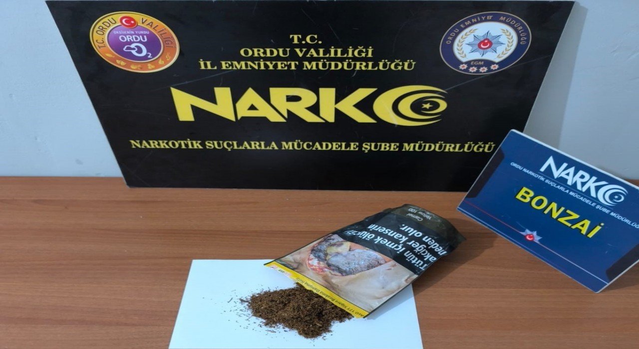 Orduda uyuşturucu operasyonlarında 5 tutuklama