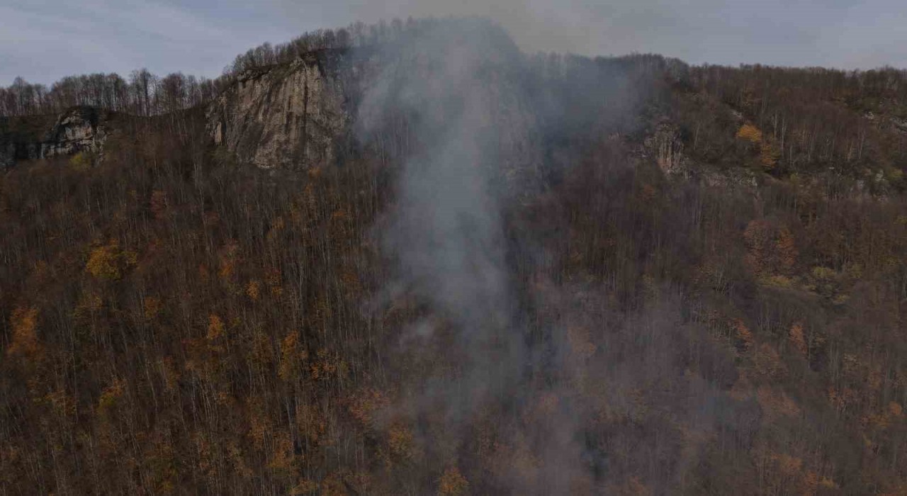 Ordudaki ormanlık alandaki yangın kontrol altına alındı