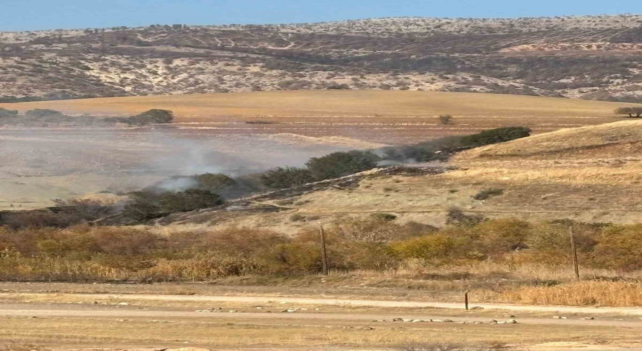 Ormanlık alanda korkutan yangın