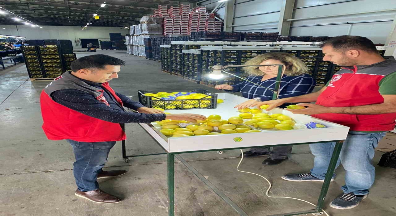 Ortacada ihracata giden ürünlere onay