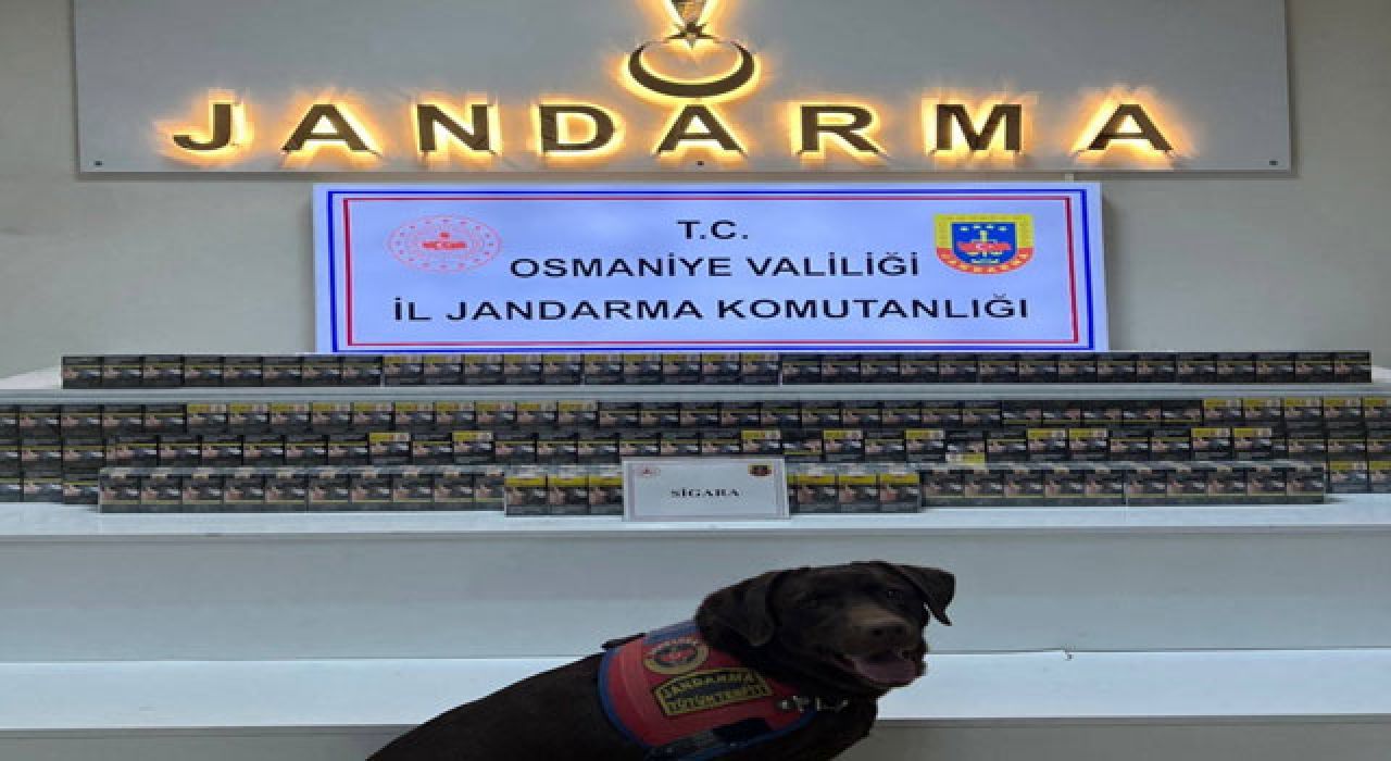 Osmaniye Jandarmasından Bir Haftada 196 Asayiş Olayına Müdahale