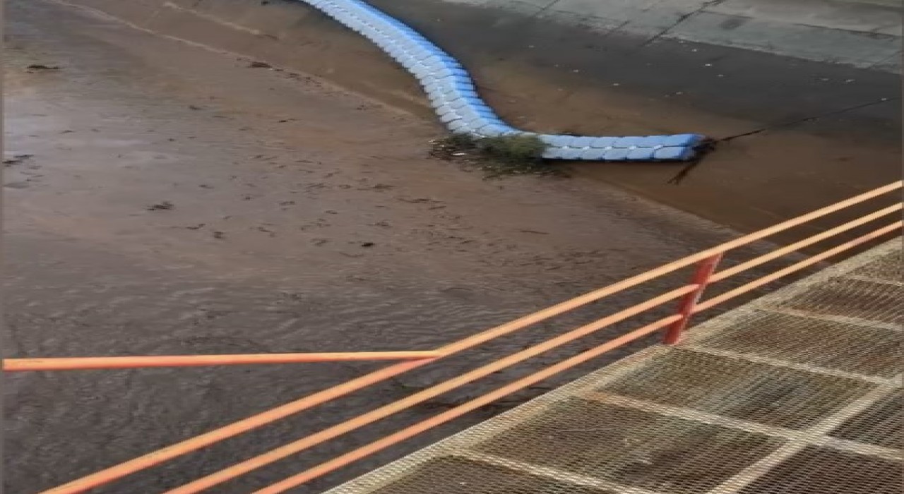 Osmaniyede baraj kapakları açıldı, yüzlerce balık telef oldu