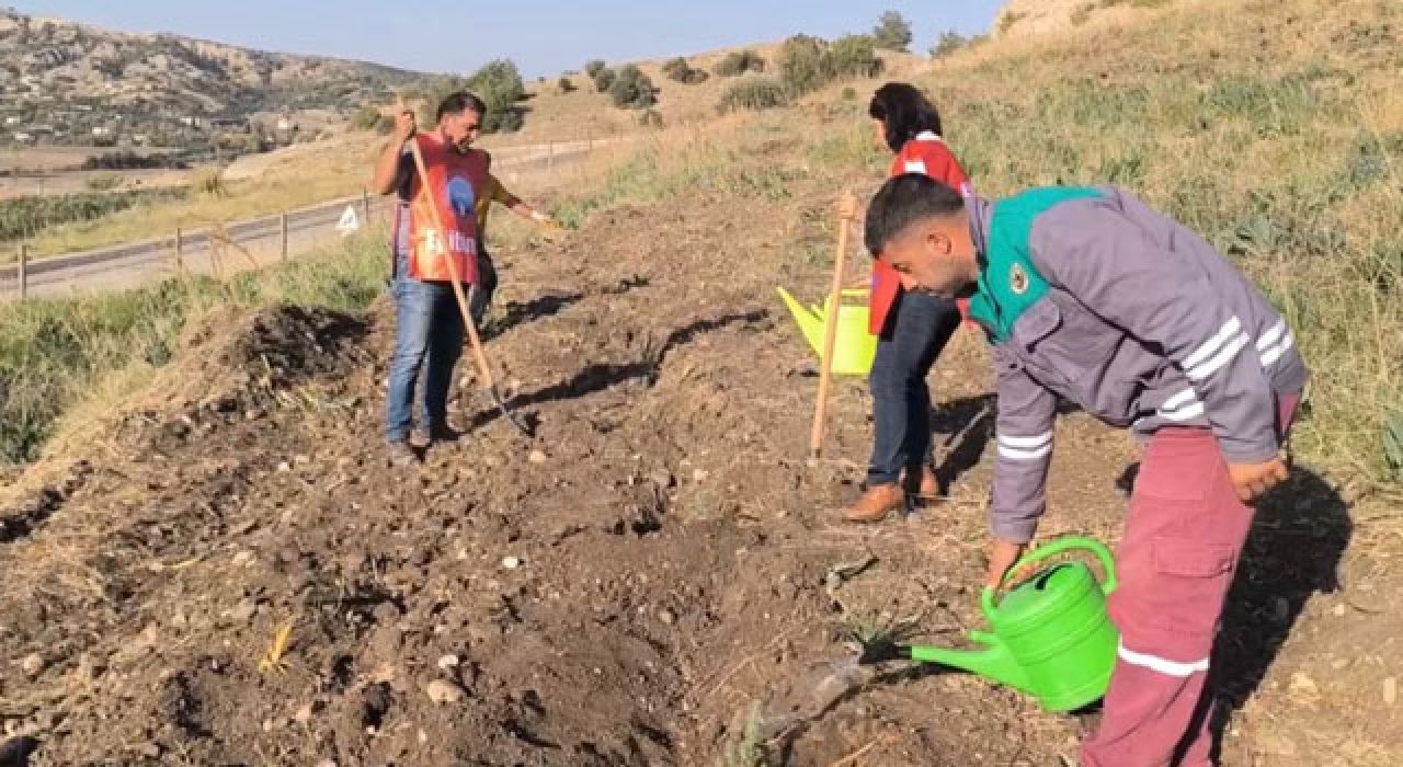 Osmaniye’de Deprem Şehidi Öğretmenler İçin Hatıra Ormanı Kuruldu