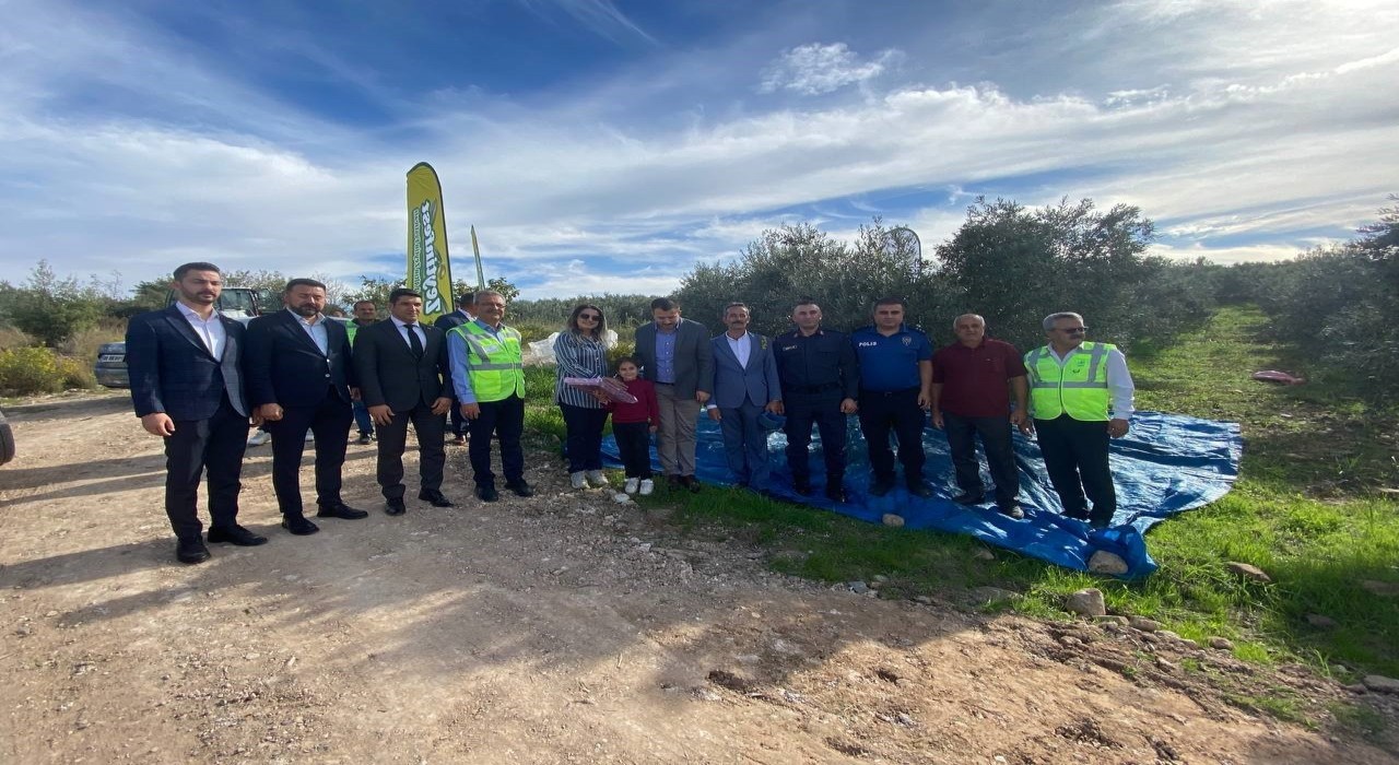 Osmaniyede zeytin festivali