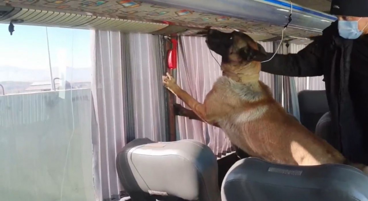 Otobüs bagajında skunk düzeneği: 8 kilo zehir ele geçirildi