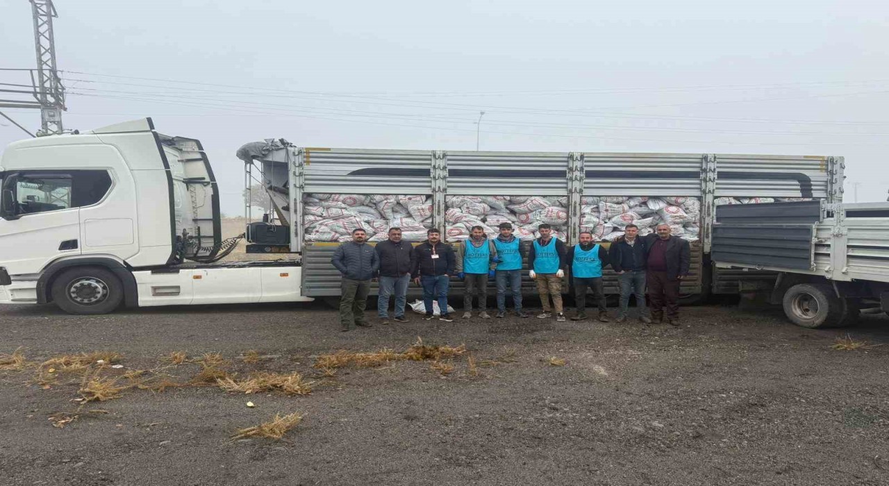 Patnosta on bin haneye kömür desteği