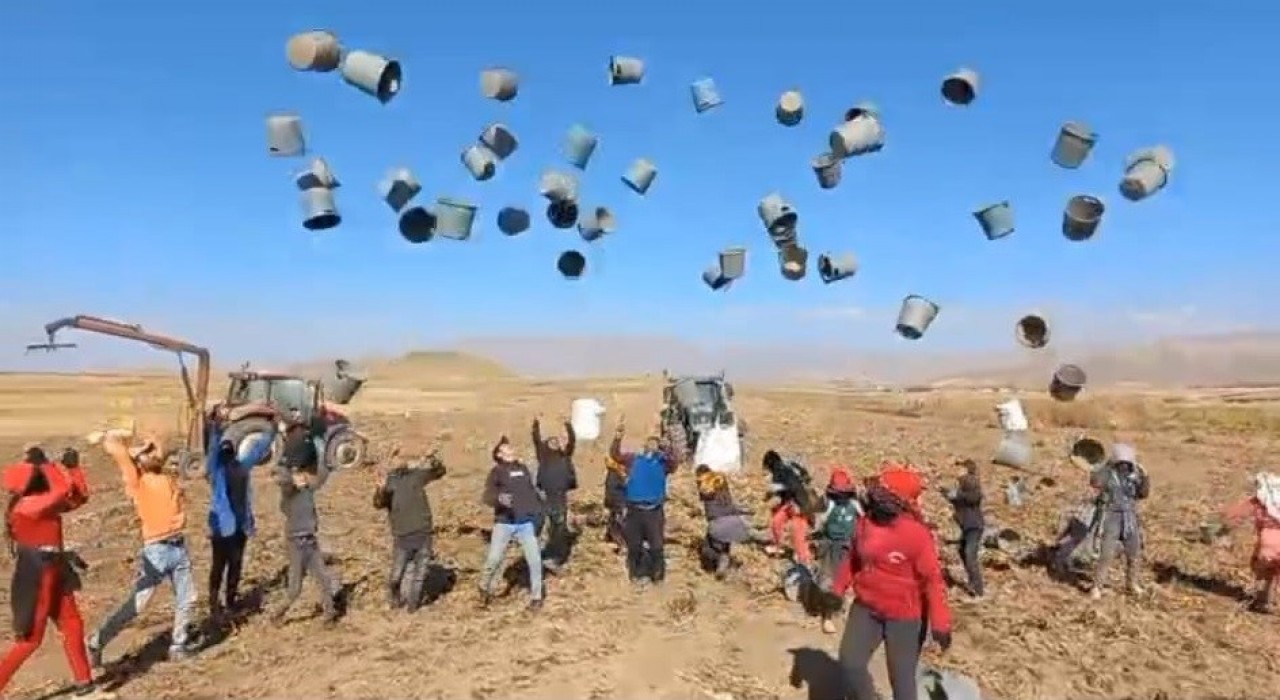 Patnosta patates hasadı tamamlandı: 500 Dönüm araziden  bin 650 ton ürün elde edildi