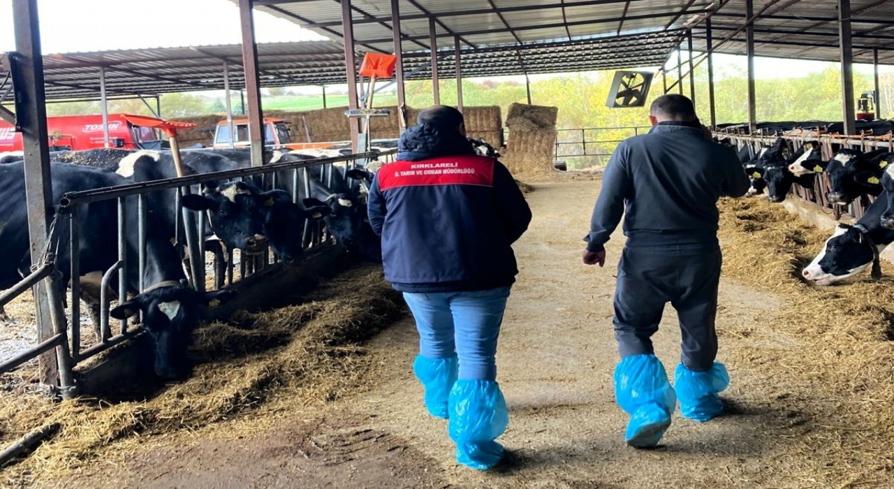 Pınarhisarda ari hayvan işletmelerindeki çalışmalar incelendi