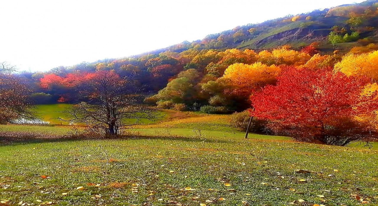 Posofta sonbaharla gelen güzellikler