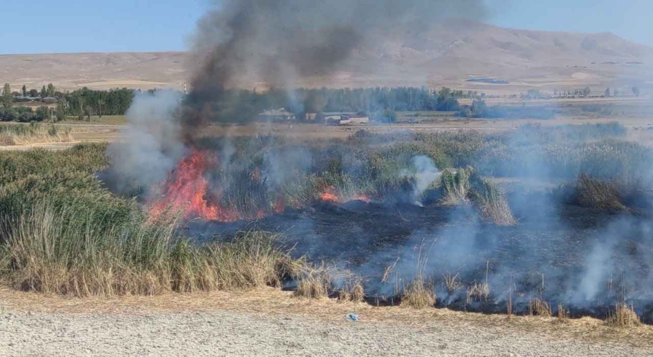 Prof. Dr. Lokman Aslan: Sulak alanlar tabiatın rahimleridir