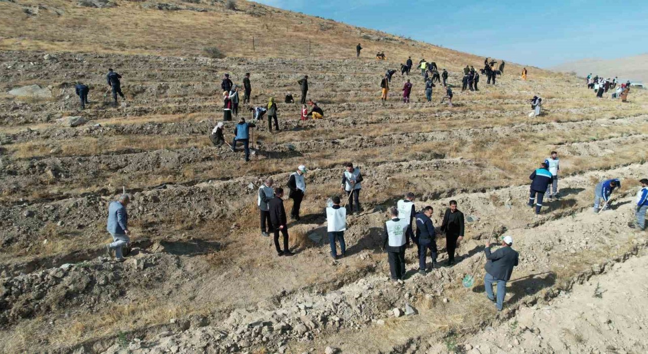 ‘Şahidimiz Toprak, İmzamız Fidan, Sevdamız Yeşil Vatan Yahyalıda hayat buldu