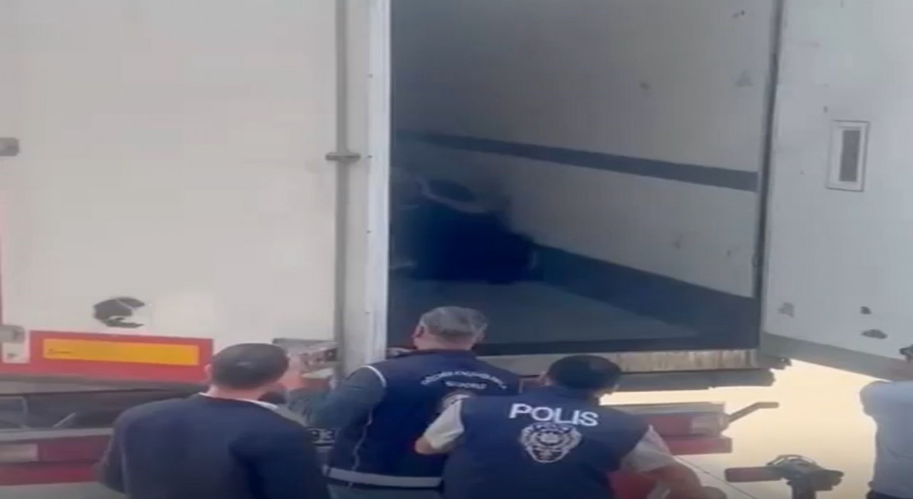 Sakaryada 24 düzensiz göçmen yakalandı