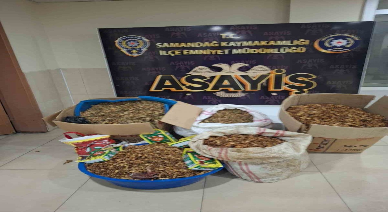 Samandağda kaçak tütün operasyonu