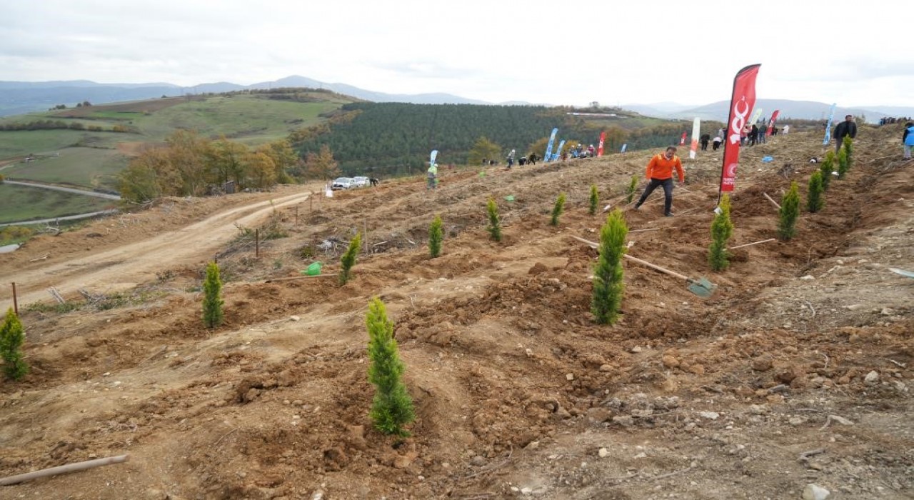 Samsunda 11 Kasım Milli Ağaçlandırma Gününde 37 bin 380 fidan toprakla buluşacak