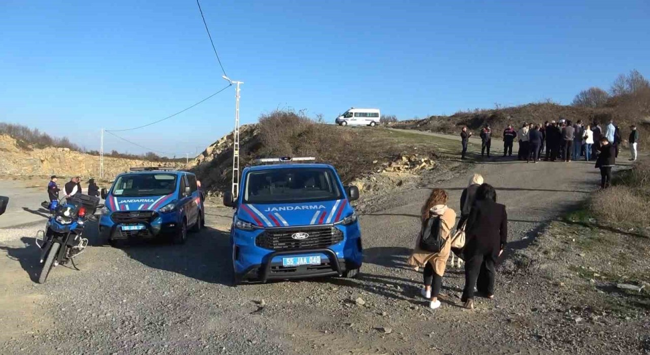 Samsunda 9 köpeğin telef olması: Başkan Kurnazdan tepki