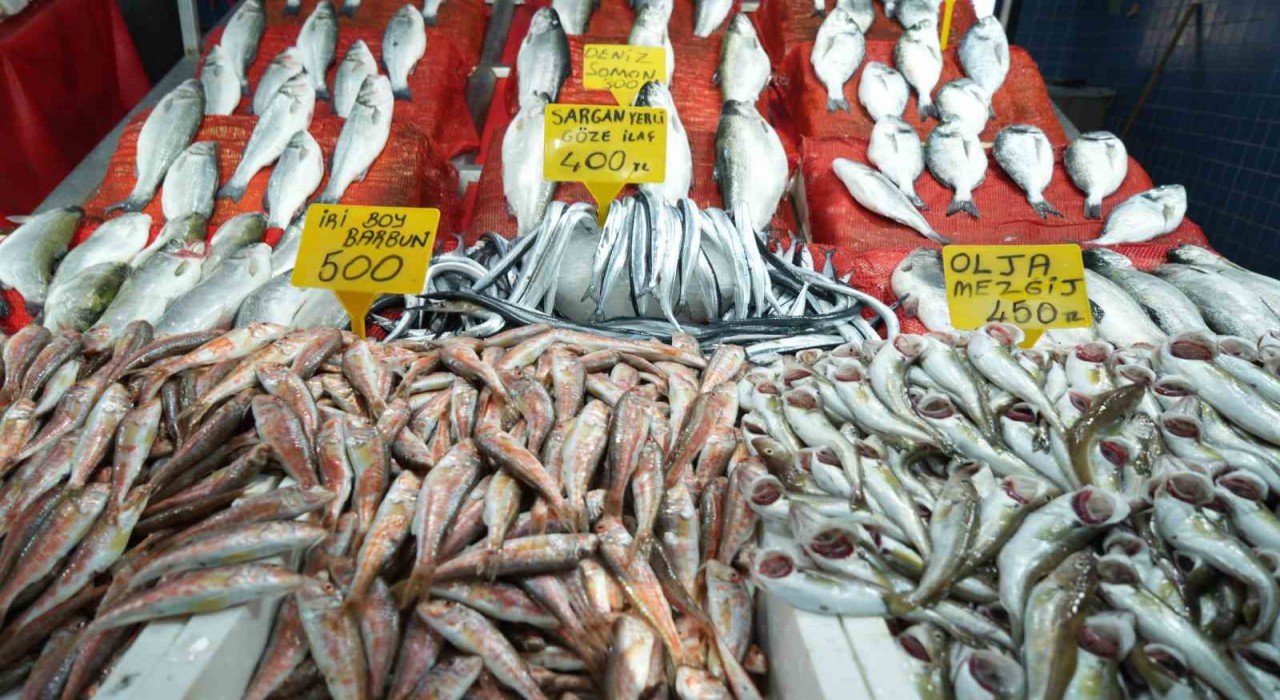 Samsunda balık fiyatlarında son durum