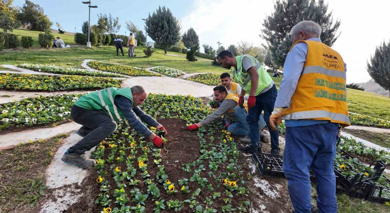 Şanlıurfada 400 bin çiçek toprakla buluşuyor