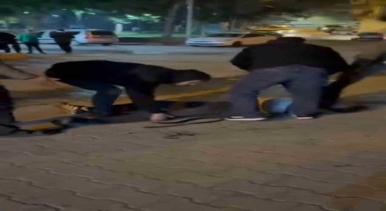 Şanlıurfada bıçaklı kavga: 3 yaralı