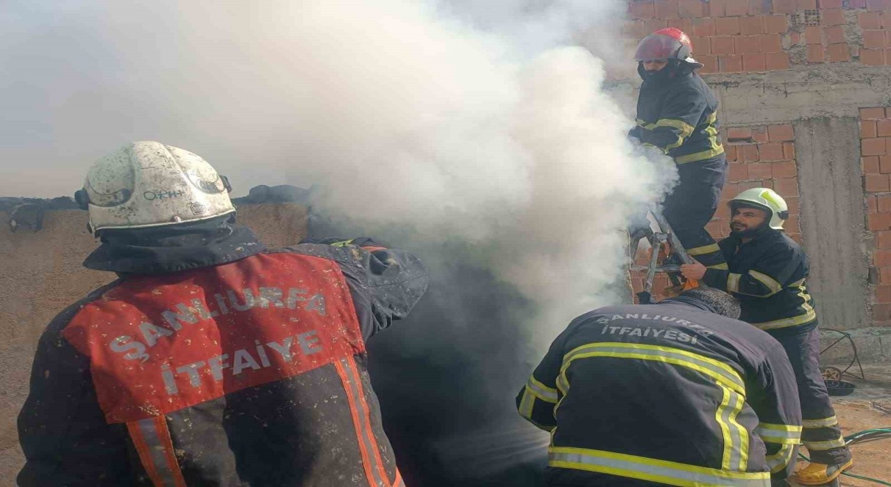 Şanlıurfada mesken yangını söndürüldü